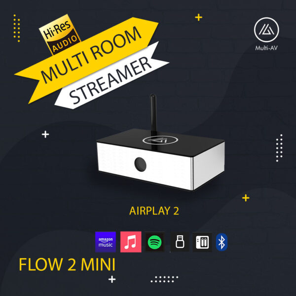 Flow 2 mini print copy